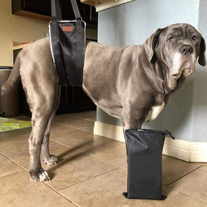 Cross-border Pet Assisted Dog Lifting Belt Disabled Dog Helping Hind Leg