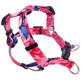 The PAWPET Freedom No Pull Dog Harness Strap | Comfortable Control for Easy Walking