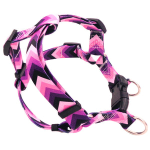 The PAWPET Freedom No Pull Dog Harness Strap | Comfortable Control for Easy Walking